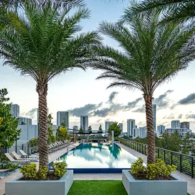 City Views from the Rooftop Pool at Sentral Wynwood
