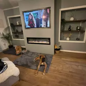 Bild von Media Walls Edinburgh