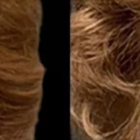 Bild von New York Group for Plastic Surgery