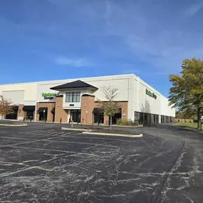 Alternate Beauty Image