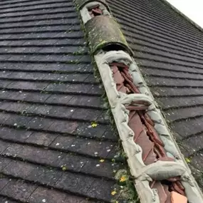 Bild von Honestus Roofing Ltd