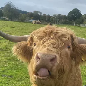 Bild von KF TOURISME D AFFAIRES