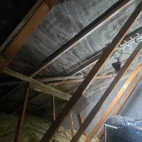 Bild von Remove Spray Foam Ltd