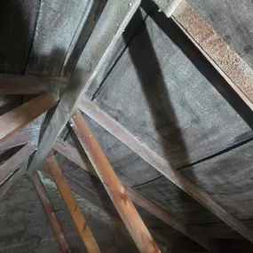 Bild von Remove Spray Foam Ltd