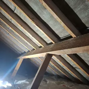 Bild von Remove Spray Foam Ltd