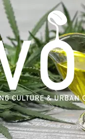 Bild von IVORY Stuttgart