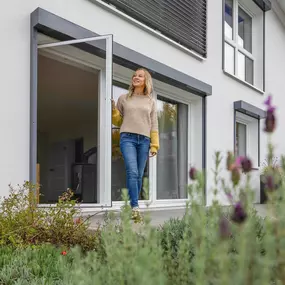 Bild von Insektenfloh - Insektenschutz auf Maß