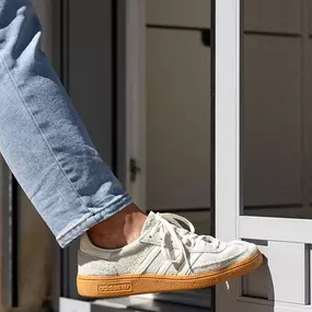 Bild von Insektenfloh - Insektenschutz auf Maß