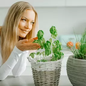 Bild von Health & Aesthetics Permanent Make Up/ Haarpigmentierung und Zahnbleaching