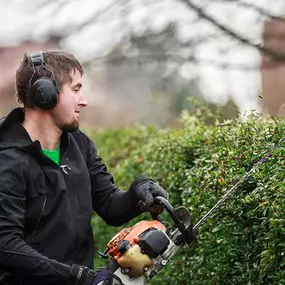 Bild von TOP Gebäudereinigung Sachsen GmbH & Co. KG