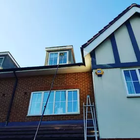 Bild von ProGreen Clean Limited