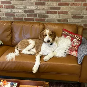 Bild von Cypress Therapy and Counseling