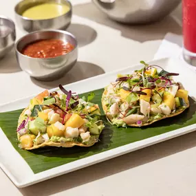 Ceviche Tostadas at Gloria's Latin Cuisine