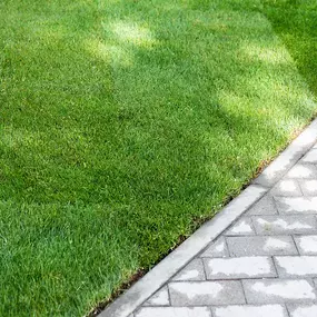 Bild von The Grounds Guys of St. Augustine, FL