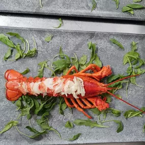 Bild von Ristorante Mio