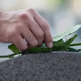 Bild von Bestattungen Osthues-Nettebrock, Inh. Andreas Nettebrock e.K.