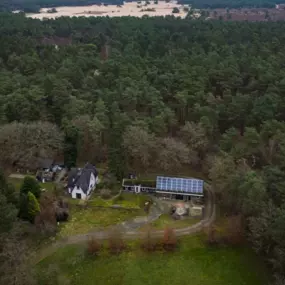 Bild von Wood for Thought