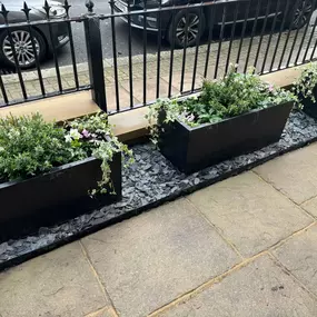 Bild von Prime Garden Design