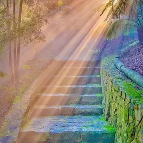 Bild von Mark Halbert Therapy in West Bridgford, Nottingham