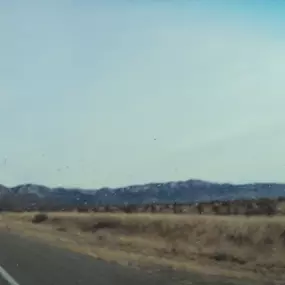 Bild von Iralien Sainvilmar, Kokoye Realty, LLC