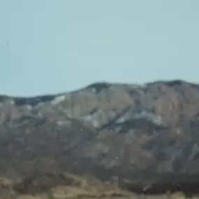 Bild von Iralien Sainvilmar, Kokoye Realty, LLC