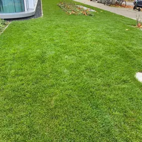 Bild von BE Gartenbau München