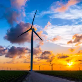 Bild von Westwood Professional Services