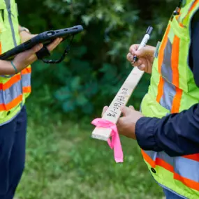 Bild von Westwood Professional Services