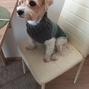 Bild von Ruční práce Eivlis