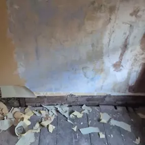 Bild von Chang Dream Team Ltd