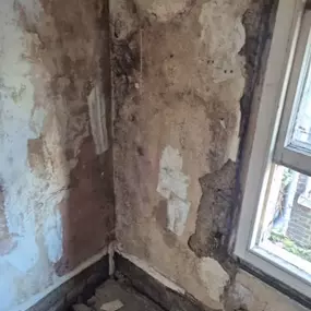 Bild von Chang Dream Team Ltd