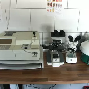 Bild von Tierarztpraxis Dr. Brigitte Steiner