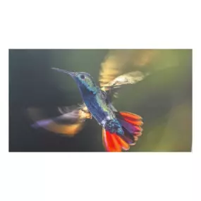 Bild von Psychologische Privatpraxis Dipl.-Psych. Ewald Weigle, Ph.D.