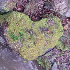 Bild von Werkstatt des Herzens - Doreen Duelli - Töpferei - Kurse und mehr