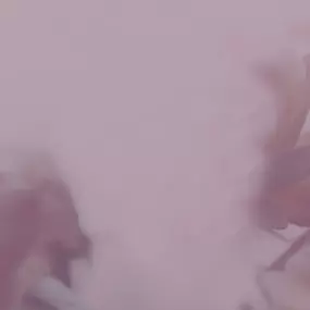 Bild von YONIA Susanne Golob