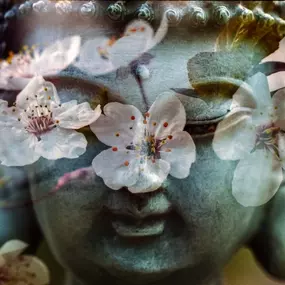 Bild von Annette Wolf Yoga & mehr