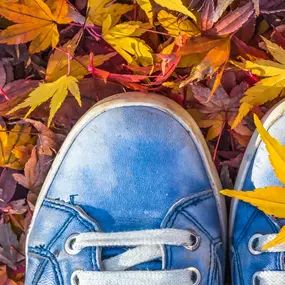 Bild von Arkaden-Apotheke