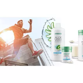 Bild von KIEL-OSTSEE-BUSINESS - SWS | WERBUNG & VERTRIEB | SIEGFRIED W. SILL