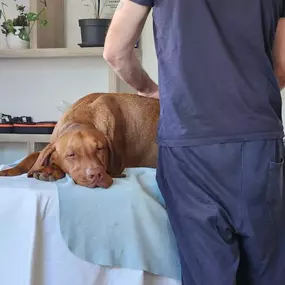 Bild von Vibra-énergie