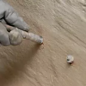 Bild von Kai Rieser und Wiebke Meyer Gbr Rieser Bautenschutz