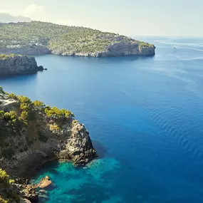 Bild von movex Deutschland GmbH