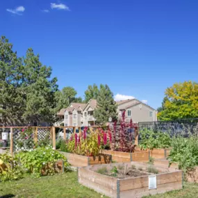 Flower and plant garden.