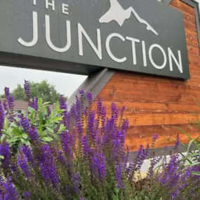 1 bedroom apartments Fort Collins