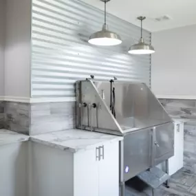 pet-friendly apartments Fort Collins