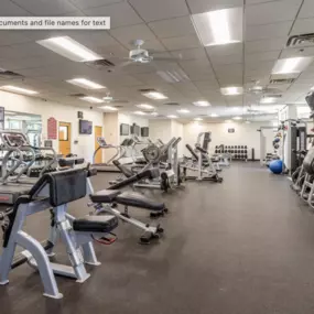 modern apartments near CSU