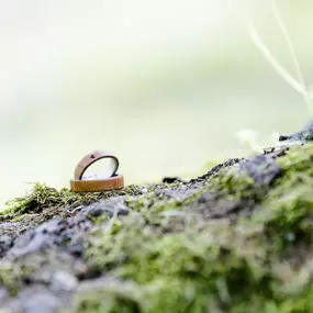Bild von Fotofabrik Henze