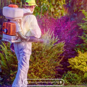 Bild von Pest Control Philadelphia