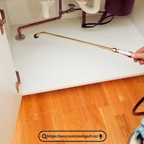 Bild von Pest Control Philadelphia