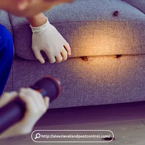 Bild von Pest Control Cleveland