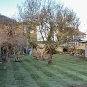 Bild von Clark Paving & Landscaping